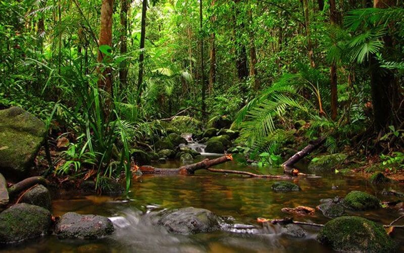 Parque Nacional de Phu Quoc: 4 mejores rutas de senderismo