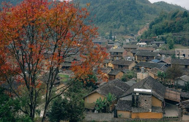 Lo Lo Chai: Escapada a un pueblo vietnamita clasificado entre los mejores del mundo en 2025