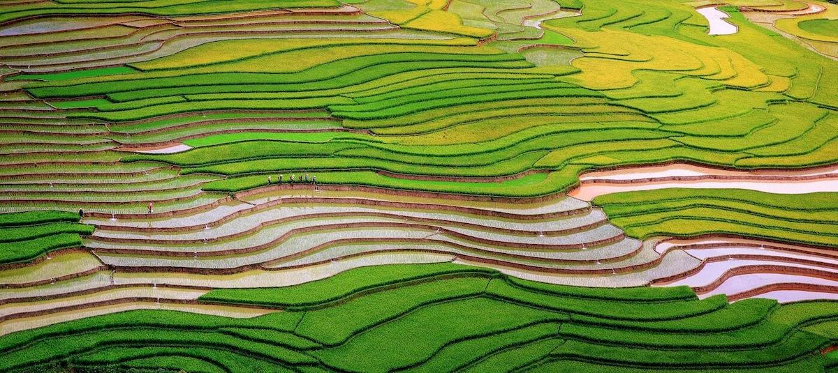 Mu Cang Chai: El hogar de las terrazas de arroz más bellas