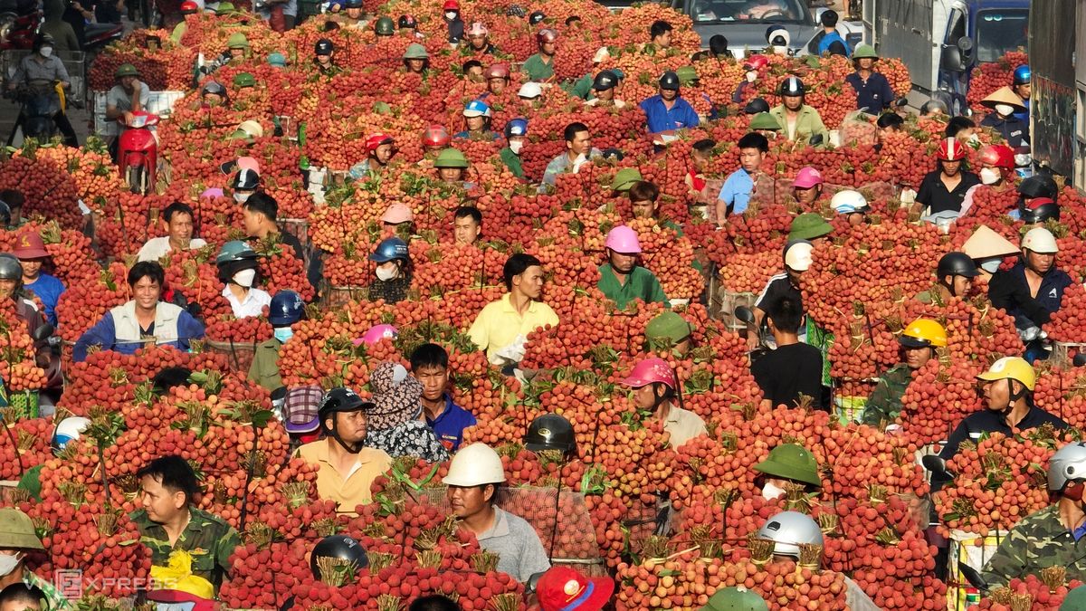 Top 10 frutas exóticas de Vietnam que no te puedes perder