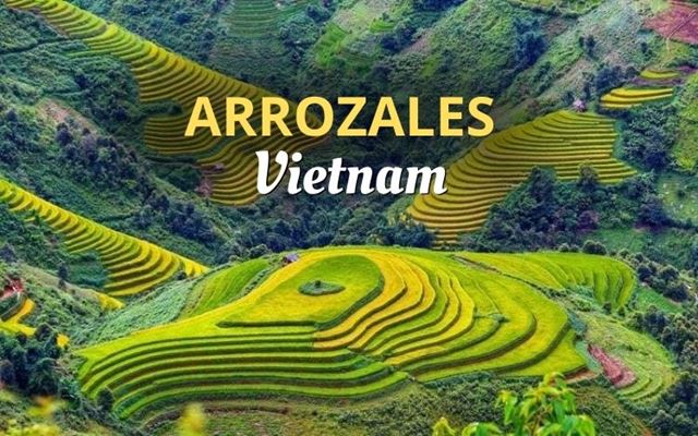 Top 8 mejores lugares para ver arrozales en Vietnam