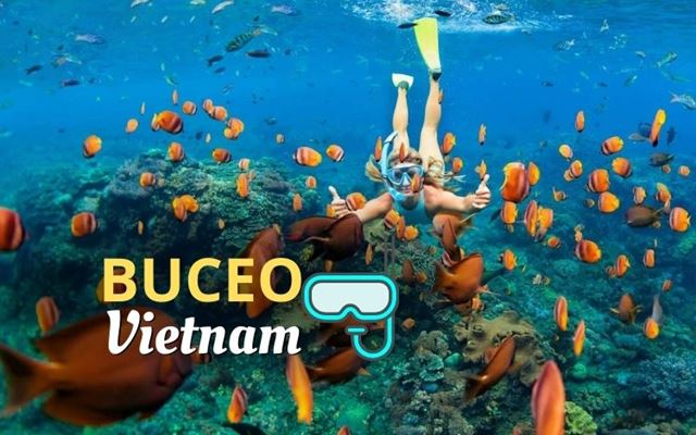 Buceo en Vietnam: Los 10 mejores lugares para experimentar