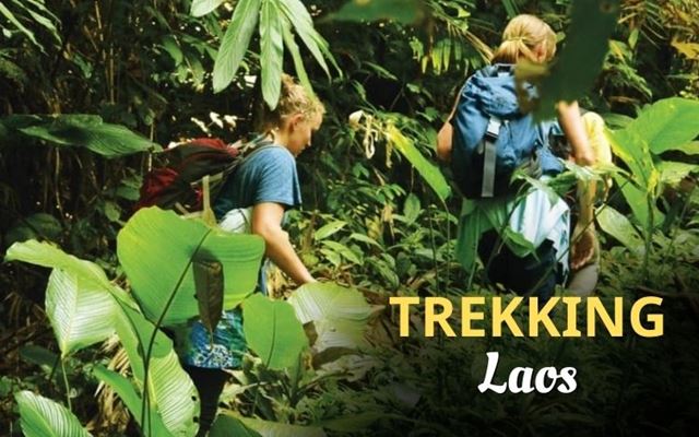Guía de trekking en Laos: ¿Cuál es el mejor lugar para hacerlo?