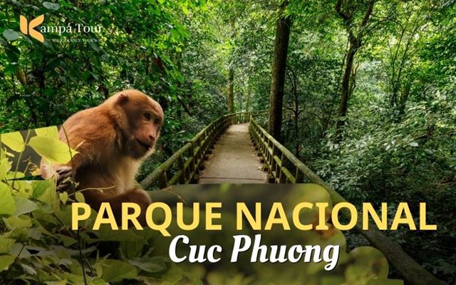 Parque nacional Cuc Phuong: ¿Un lugar poco conocido de Ninh Binh?
