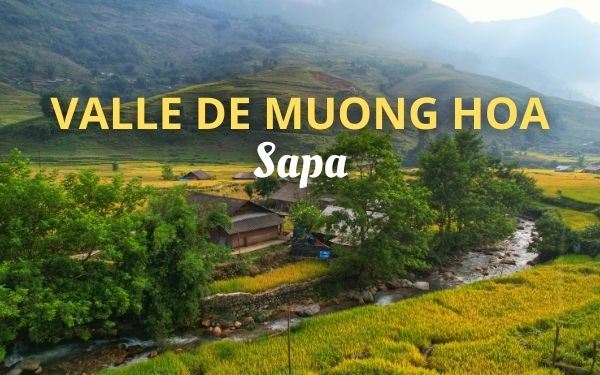 Descubre Valle de Muong Hoa, el corazón verde de Sapa