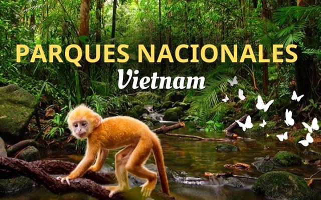 Los 7 parques nacionales más grandes de Vietnam