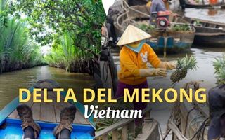 Delta del Mekong: Mejor guía para un viaje exitoso 2026