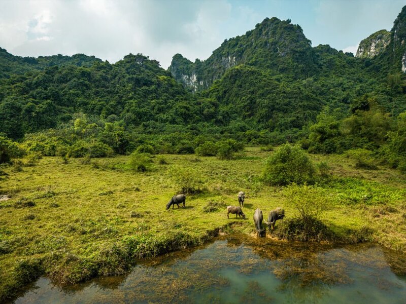tam coc - paisaje en paseo en bici
