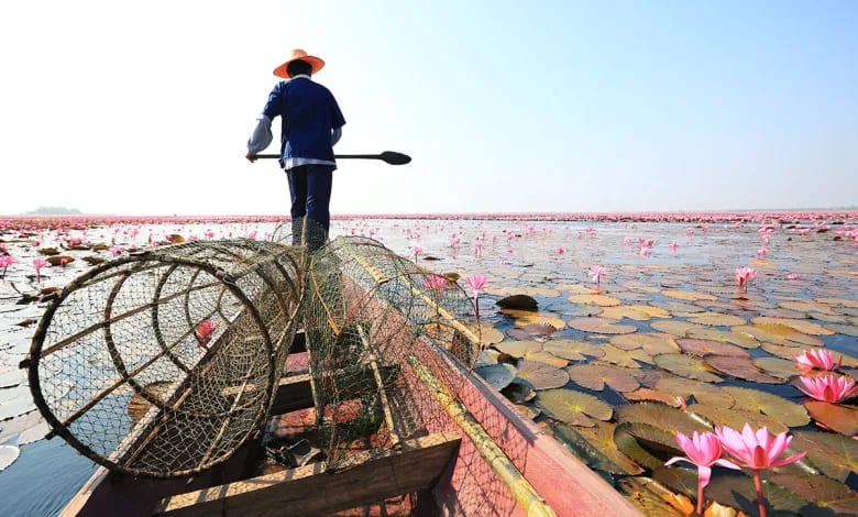 flor en isan tailandia