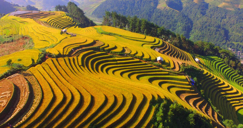 mejor epoca para viajar a vietnam arrozales
