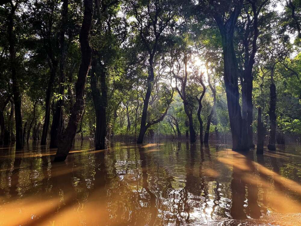 kampong phluk