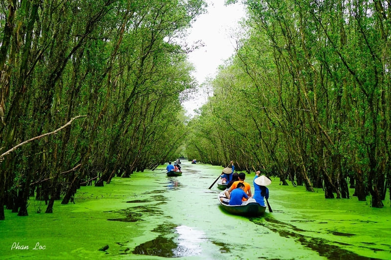 tra su en an giang - sur de vietnam