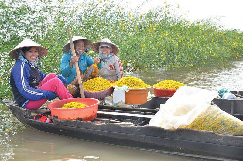 flor de sesbania es el símbolo en Vinh Long
