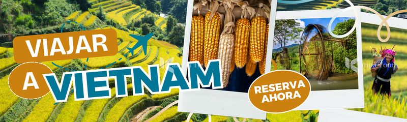 circuitos por vietnam a medida