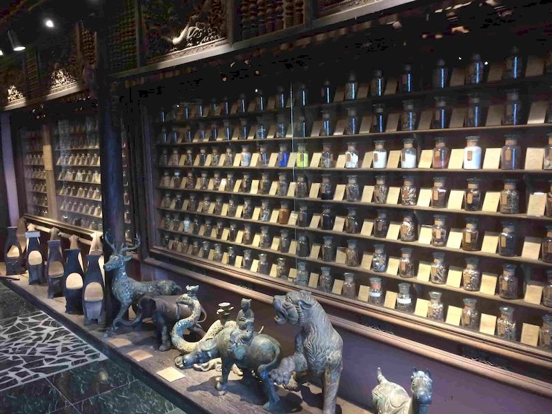 Museo FITO