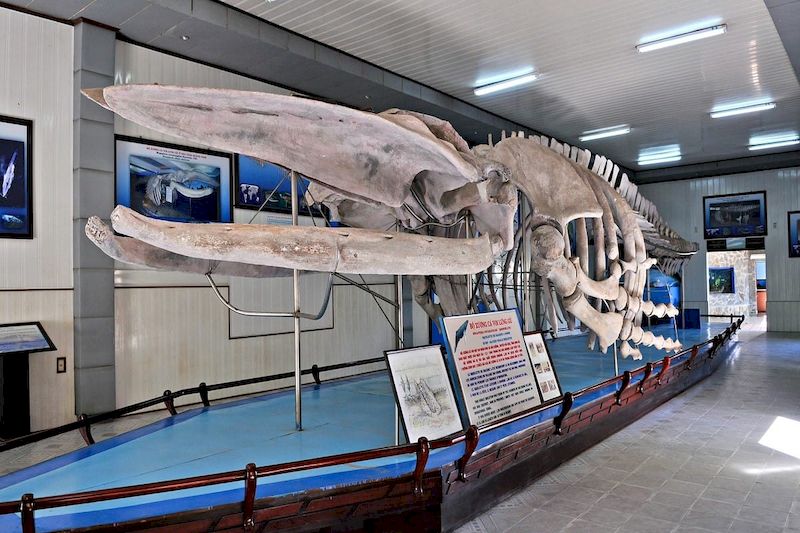 museo vietnamita