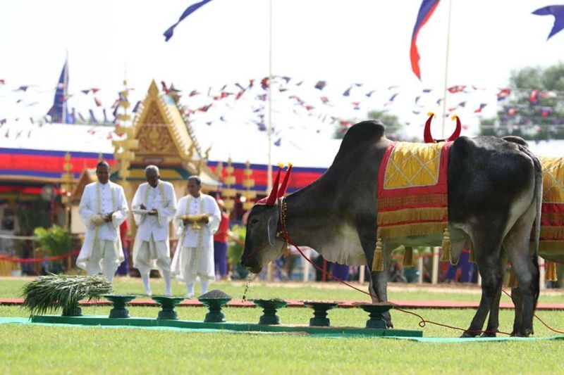festivales camboya Preah Reach Pithi Bonn Chrot Preah Neang Kol