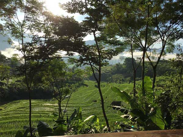 terraza en pu luong