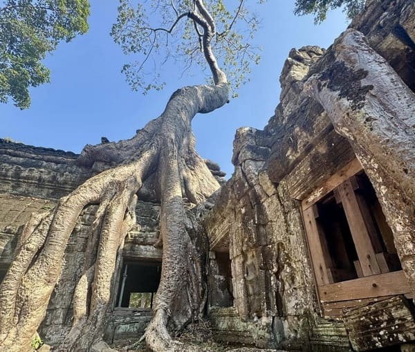camboya en febrero - angkor siem reap