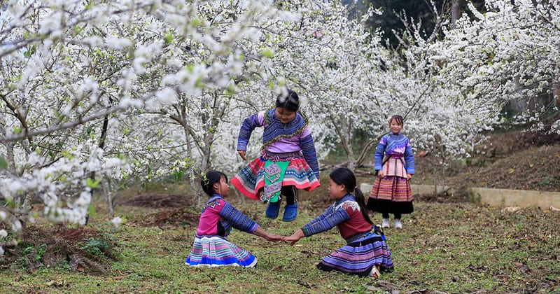 Los niños de la etnia H'Mong juegan en un jardín de ciruelos en Bac Ha