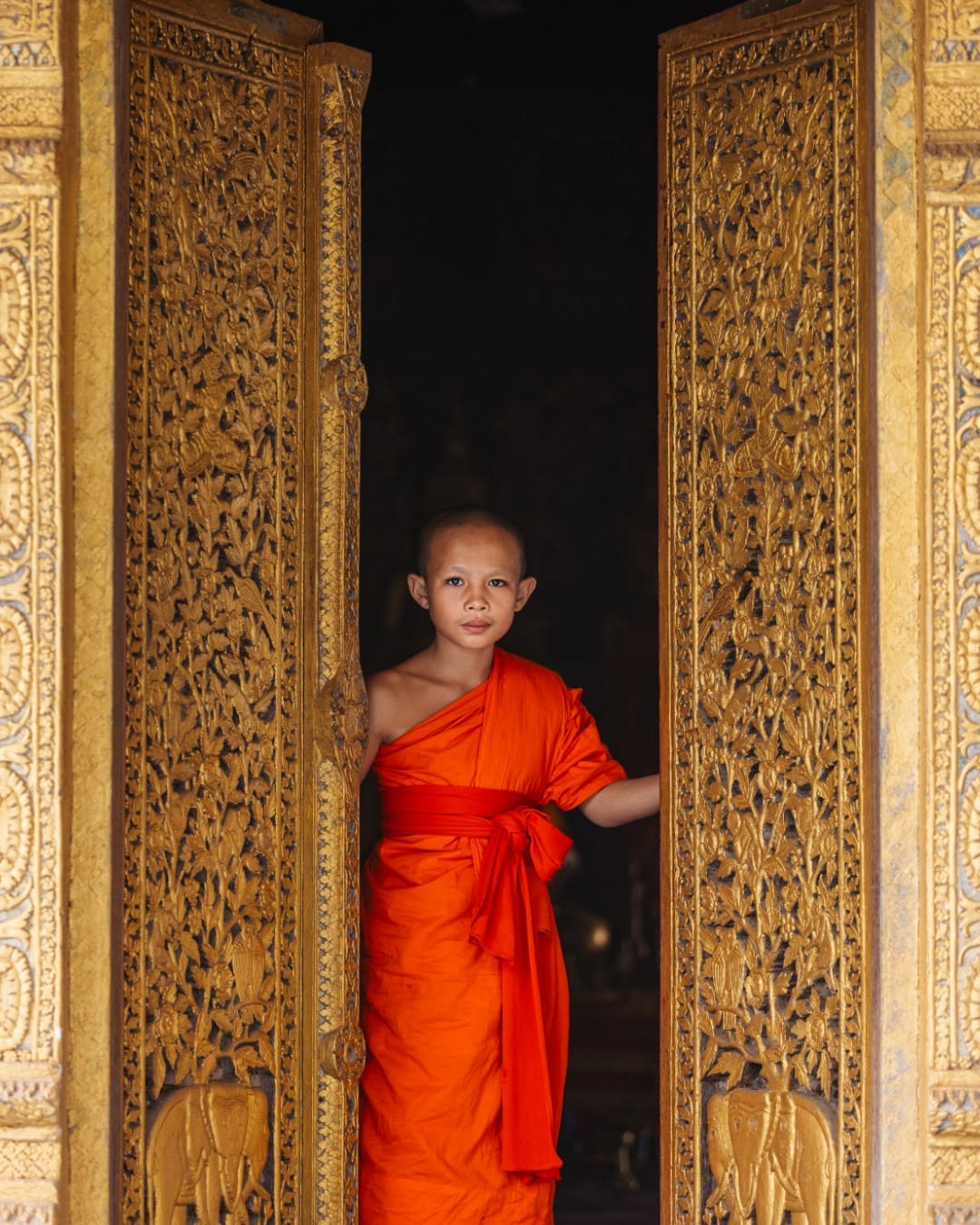asia en noviembre - monje en laos