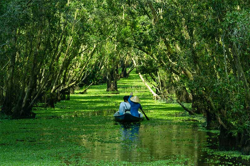 chau doc bosque verde