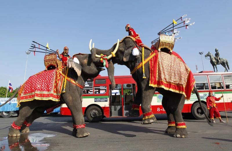 festival en tailandia en mayo