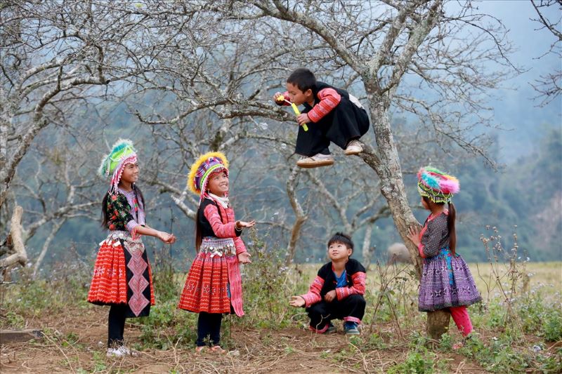 festivales de invierno en asia