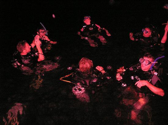 buceo en koh prins