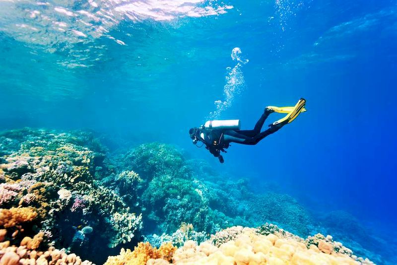 buceo en tailandia