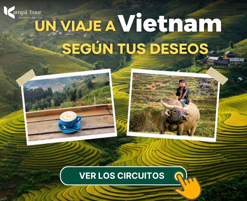 viajes vietanam - arrozales sapa
