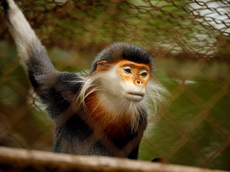 parque nacional cuc phuong -