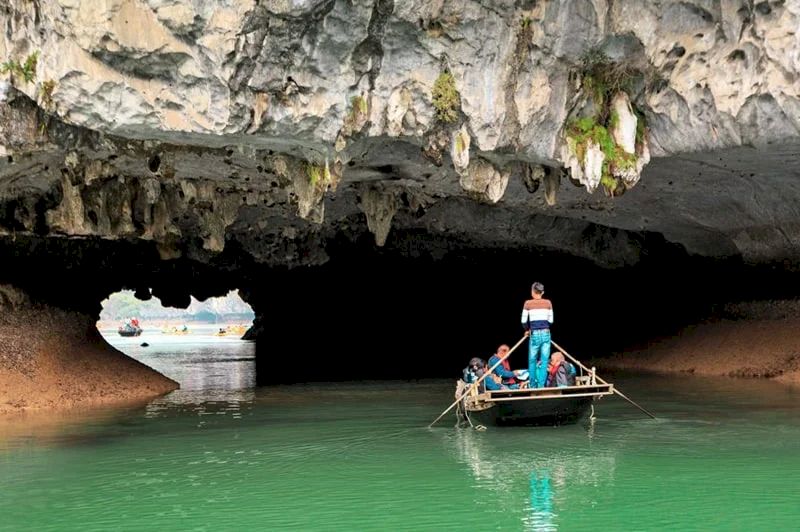 cuevas en isla cat ba
