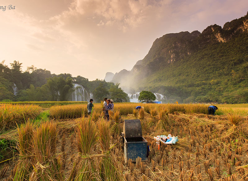 arrozales vietnam en cao bang