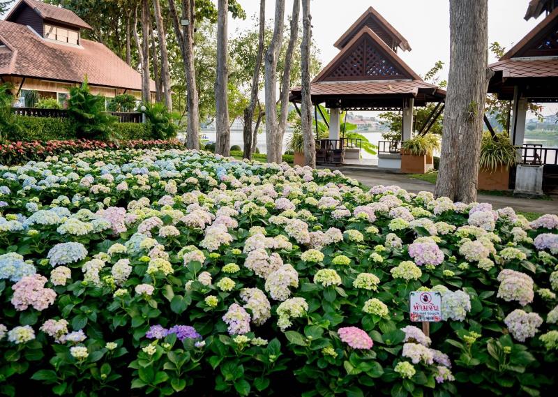 charm of chiang mai 2