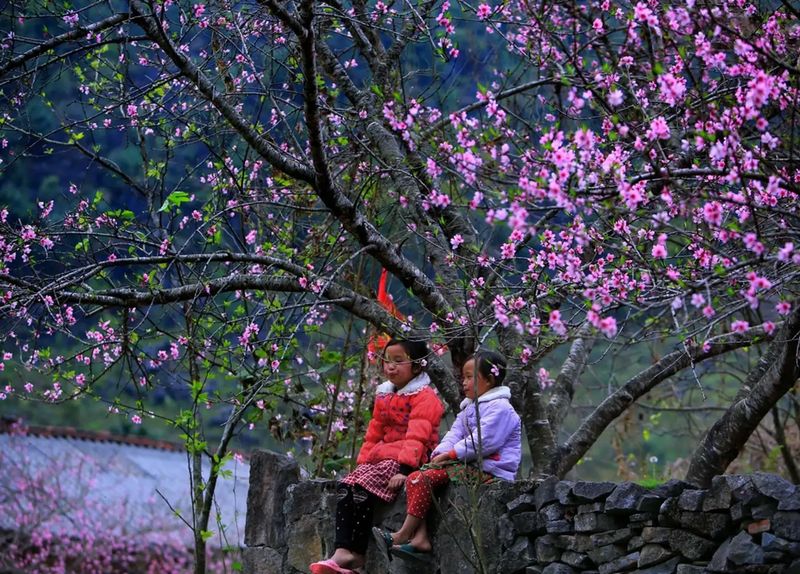 vietnam en enero - clima en ha giang en enero