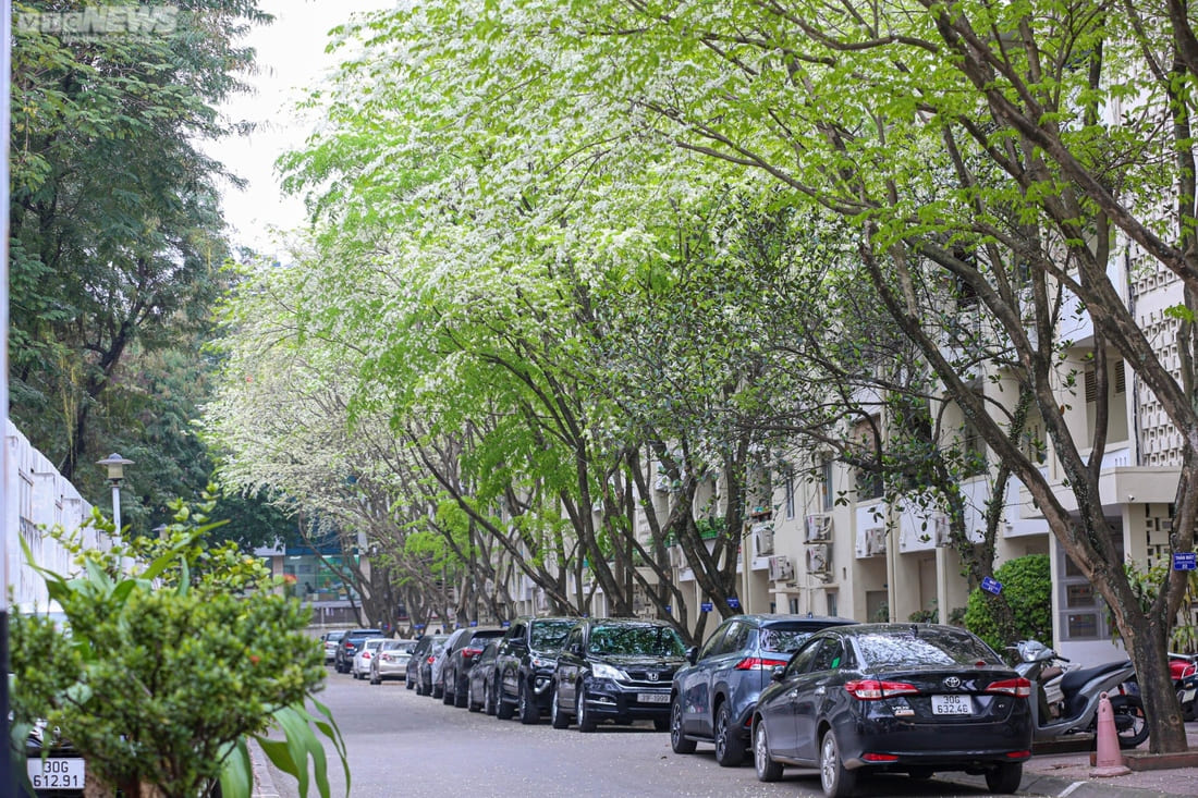 hanoi
