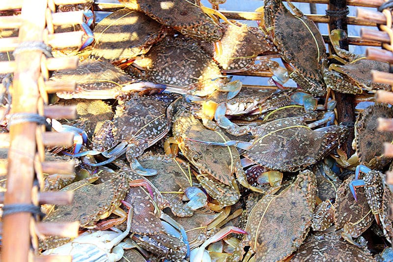 mariscos en kep camboya