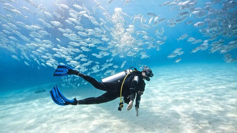 buceo con delfines en koh lipe