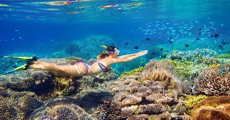 buceo en koh lipe