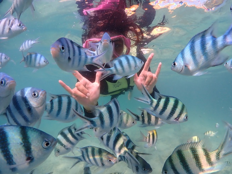 snorkel en koh lipe