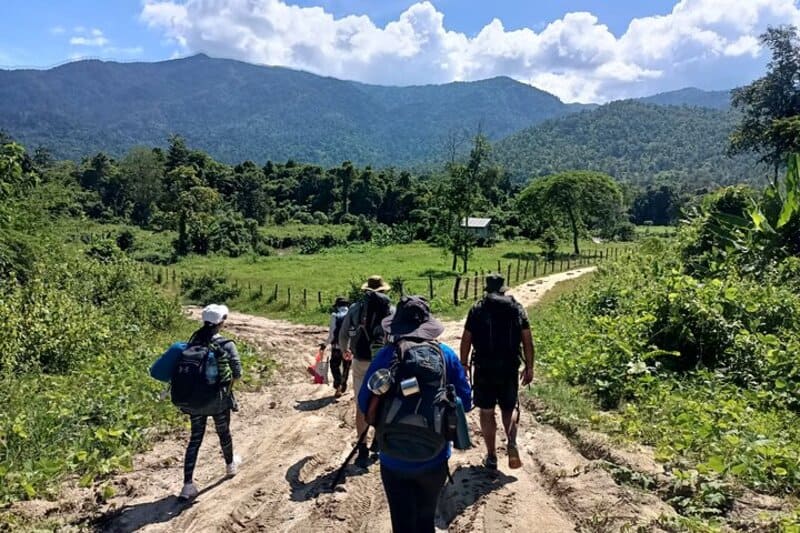 Senderismo en las montañas Cardamom