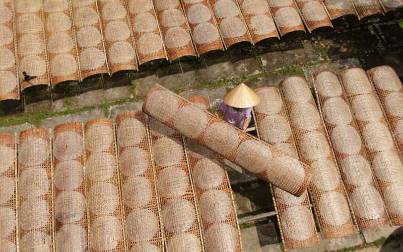 como hacer rollitos vietnamitas