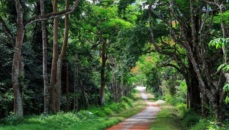parque nacional cuc phuong - paisaje