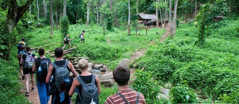 parque nacional cuc phuong - turistas en senderismo
