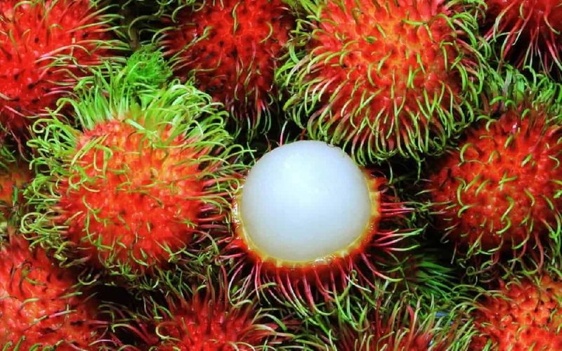 rambutan - fruta de vietnam