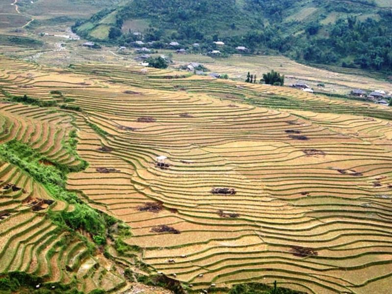 vietnam en noviembre - terrazas de arroz en sapa en noviembre