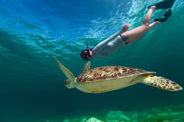 Islas Similan: El paraíso submarino en Tailandia