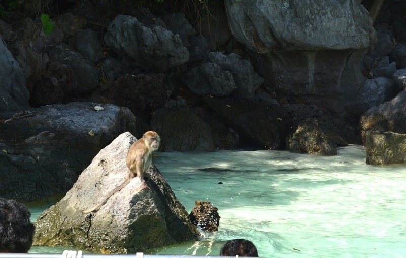 koh phi phi en sur de tailandia