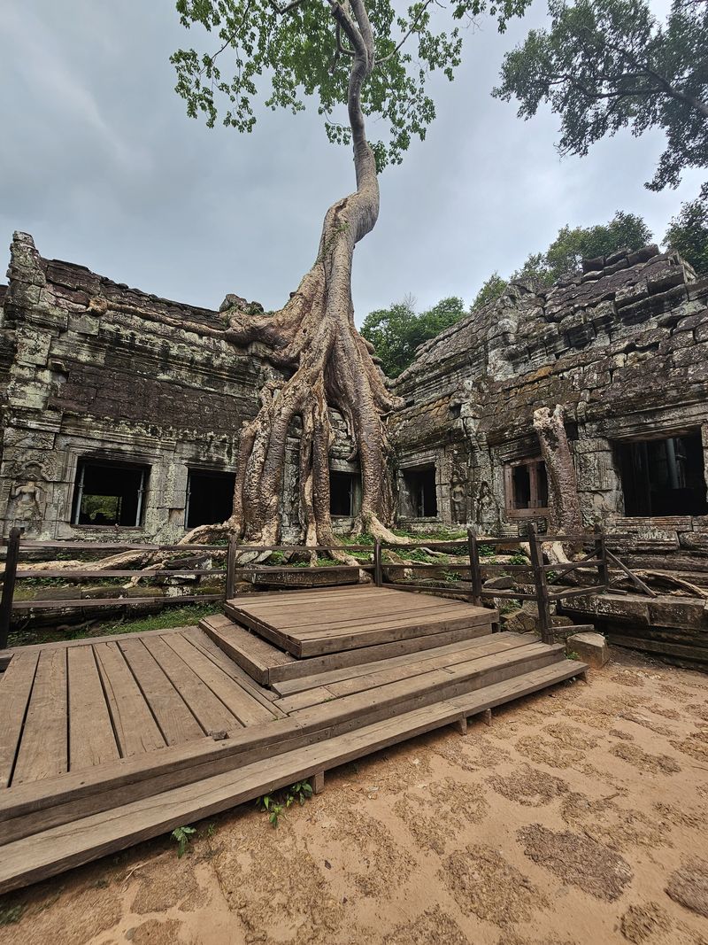 visitar vietnam y camboya en noviembre